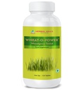 Herbal Hills Wheatgrass Tablets | 120 Tablets | | Natural Antioxidant & Immunity Booster | Supplement | For Energy, Detox & Alkaline Balance | With Pure Wheatgrass Powder Pack of 2