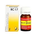 BC 17 Piles (Pack of 1)