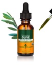 Herb Pharm Certified Organic Olive Leaf Liquid Extract Drops for Immune System Support, 1 Oz