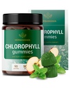 HERBAMAMA Chlorophyll Gummies – Internal Deodorant for Body Odor Support – 50 mg Sodium Copper Chlorophyllin per Serving – Vegan Chlorophyll for Immune & Digestive Support – 90 Count (45 Servings)