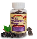 Mini Mushy's Organic Immune Support Daily Gummies | Turkey Tail, Reishi, Chaga Mushrooms, Elderberry | for Kids Ages 2+ Natural Color, Allergy Friendly, Low Sugar | Strawberry Flavor - 30 Count