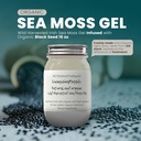 Ashwagandha Mango Sea Moss Gel Organic Fresh Fruit Infused Wild Harvested Irish Sea Moss Gel | Immune and Digestive Support | Vitamin Mineral Antioxidant Supplements | (16 oz. Ashwagandha Mango)