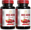 URIC Acid - Lower uric Acid Levels, Tart Cherry Extract Capsules, Uric Acid Vitamins for Men and Women, Gluten Free, Non-GMO - 2 Bottles 120 Capsules