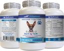Eye Care for Dogs - Dogs Eye Health Formula - Advanced Eye Support Complex - VETS Recommended, Dog Cranberry, Eye Vision Supplement for Dogs, Supplement for Eye Care, Eye Support Vitamins 1Bot 60Tabs