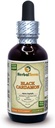 Black Cardamon, Sharpleaf Galangal (Alpinia Oxyphylla) Tincture, Organic Dried Fruit Liquid Extract (Brand Name: HerbalTerra, Proudly Made in USA) 2 fl.oz (60 ml)