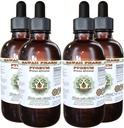 African Cherry Pygeum Alcohol-Free Liquid Extract, African Cherry Pygeum (Prunus Africana) Bark Glycerite Natural Herbal Supplement, Hawaii Pharm, USA 4x4 oz