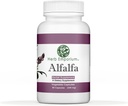 Herb Emporium Alfalfa (Medicago Sativa L, Alpalpa) Capsules 90 Vegetable Capsules (340 mg) Herbal Supplement for Healthy Digestion (Pack of 1)