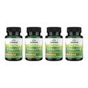 Swanson Bacillus Coagulans Spore-Form Probiotic for Adults Seeking Shelf-Stable Digestive Support with 6 Billion CFU - Acid-Resistant (60 Vegan Capsules, 4 Pack)